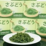 Rong nho Sabudo